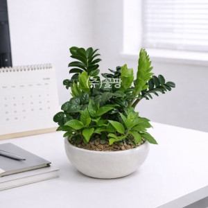 보석금전수혼합